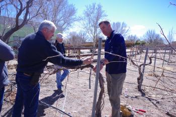 Dr. Giese teaching about pruning